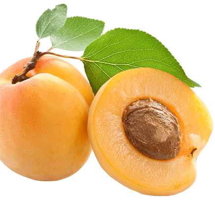 apricot kernel