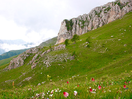 vallee des merveilles