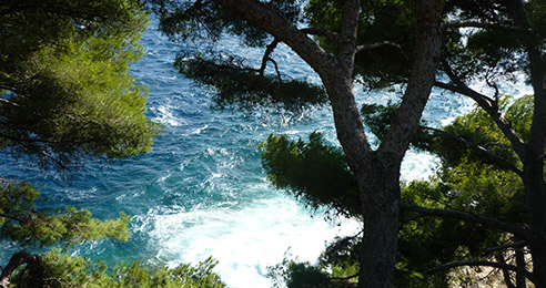 french riviera skincare
